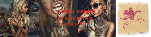 шишки Михайловск