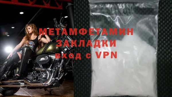 шишки Михайловск