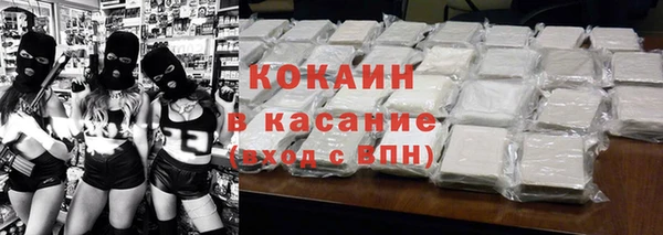 шишки Михайловск