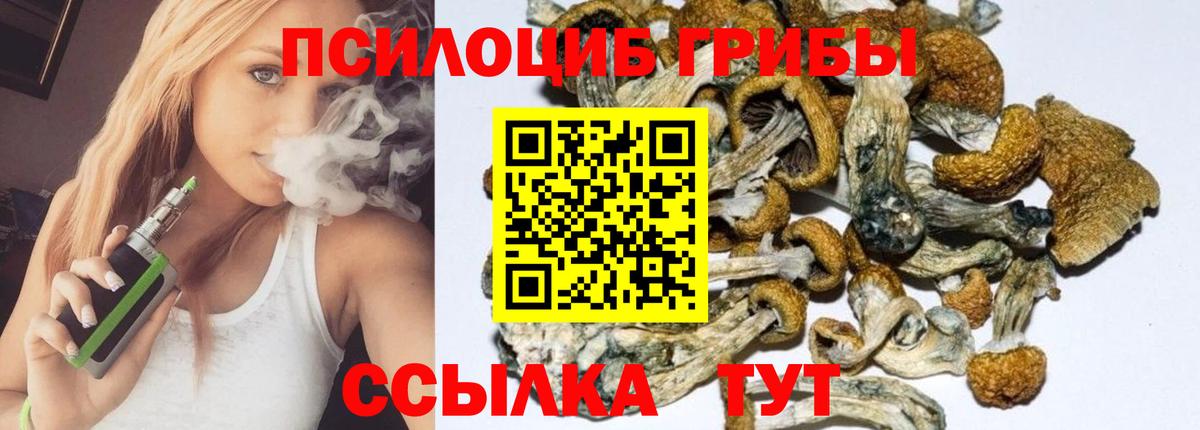 Новодвинск  Псилоцибиновые грибы ЛСД  Вход с VPN 