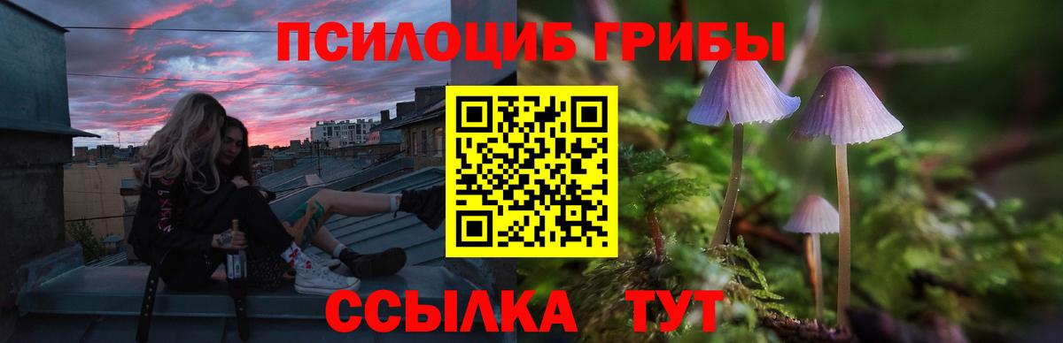 Псилоцибиновые грибы мицелий Новодвинск