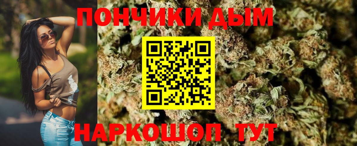 Бошки марихуана SATIVA & INDICA Новодвинск